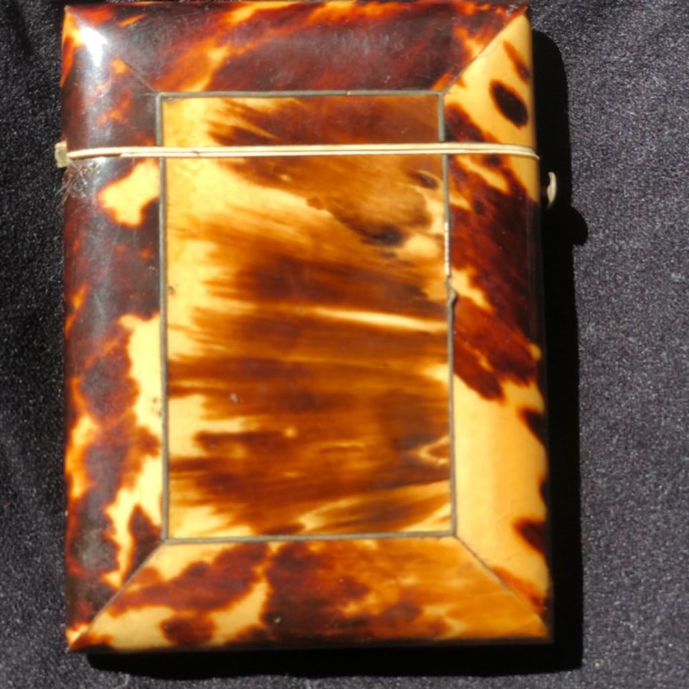 19th Century Turtle shell card case